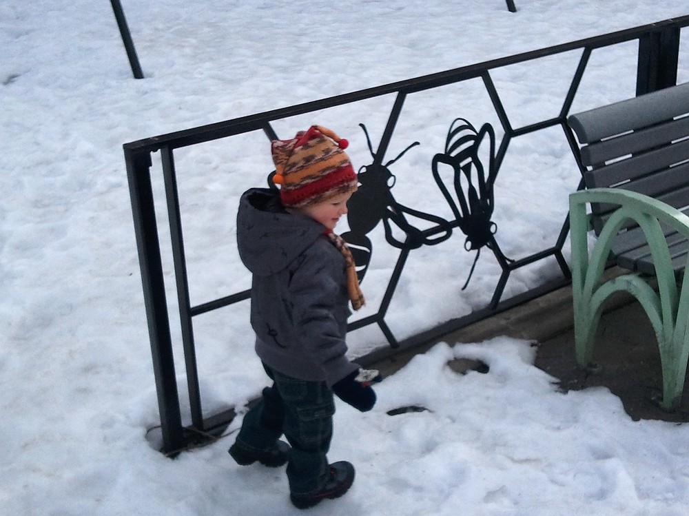 2011-02-12 11.54.29.jpg